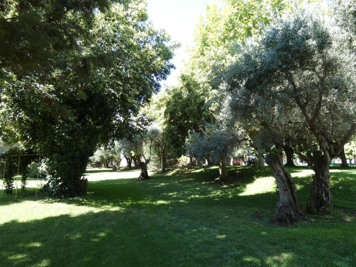 Hotel Los Olivos Getafe Eksteriør bilde