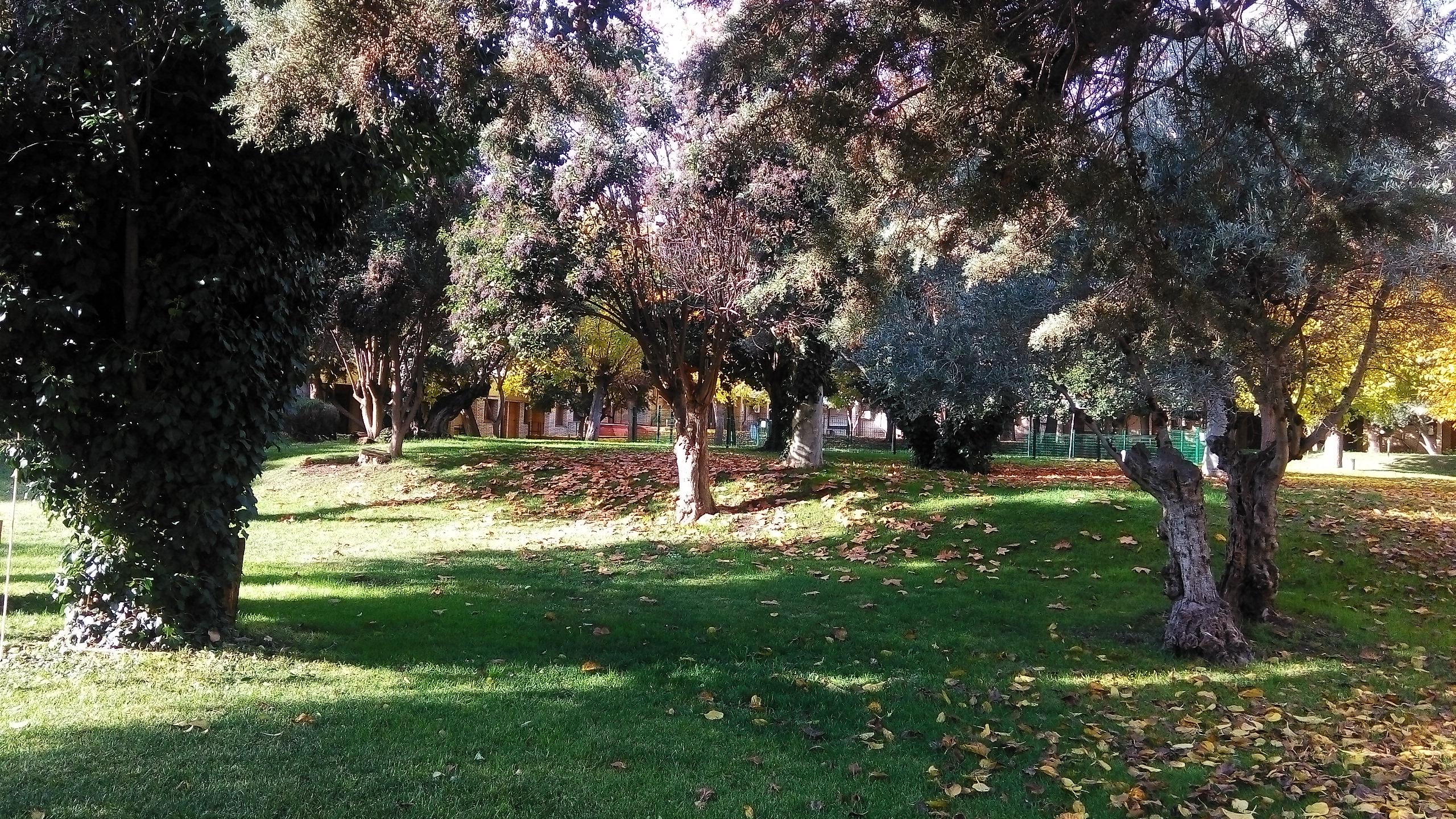 Hotel Los Olivos Getafe Eksteriør bilde
