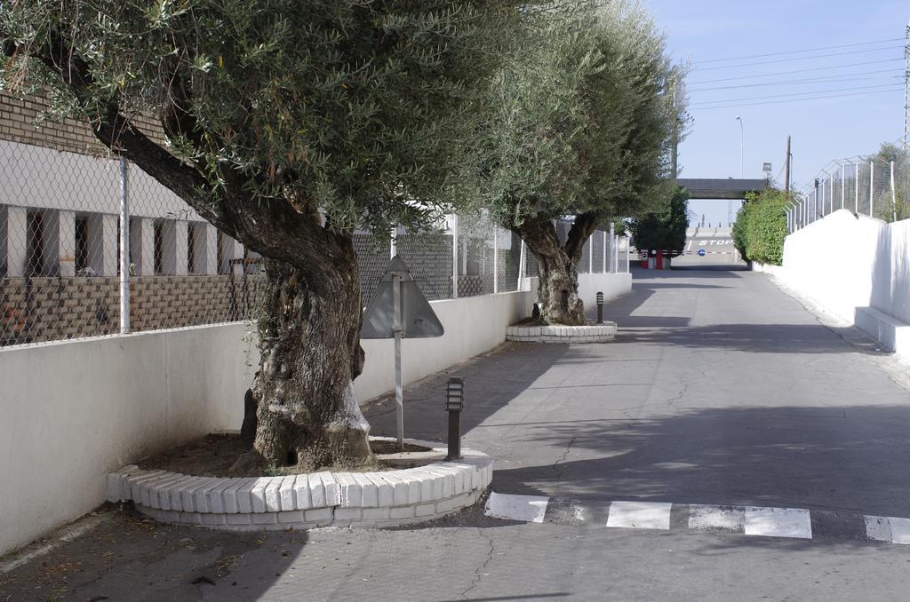Hotel Los Olivos Getafe Eksteriør bilde