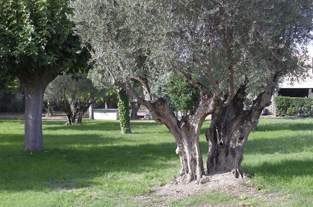 Hotel Los Olivos Getafe Eksteriør bilde