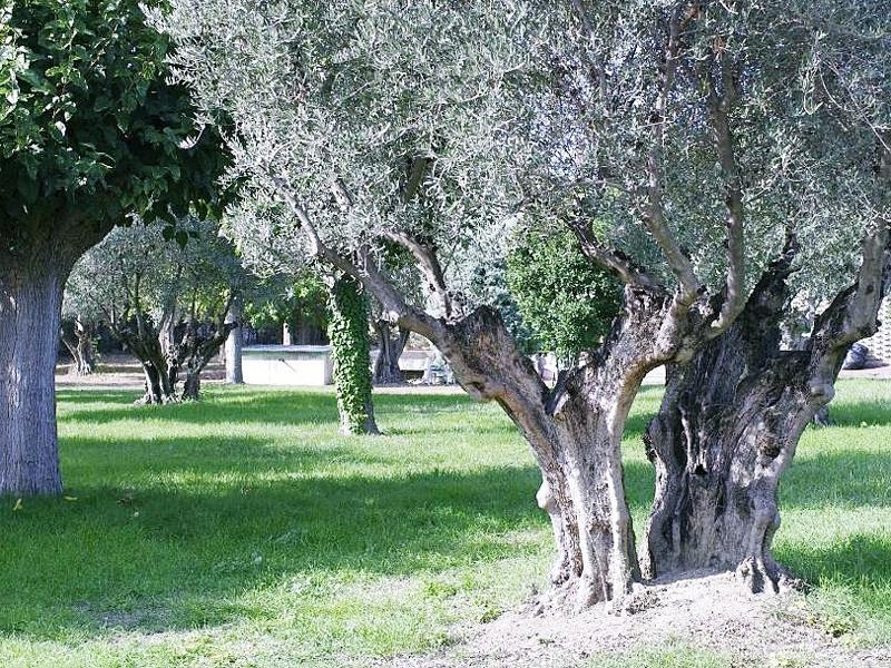 Hotel Los Olivos Getafe Eksteriør bilde